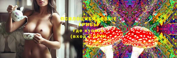 PSILOCYBIN Киреевск
