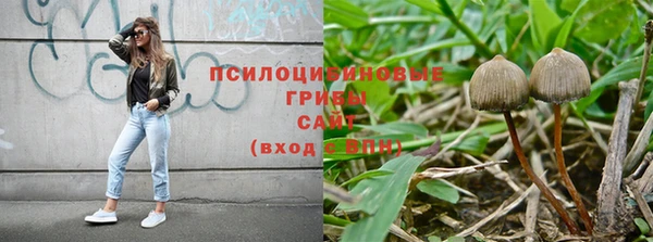 PSILOCYBIN Киреевск