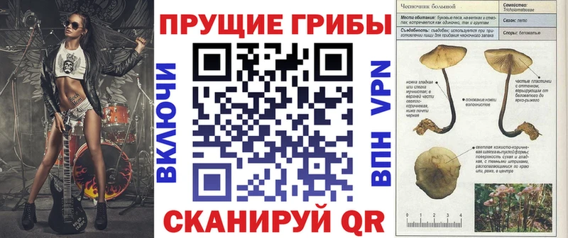 Купить где  Балабаново  Псилоцибиновые грибы мицелий 
